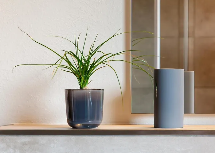 莫巴赫柏丁公寓式酒店 莫巴赫